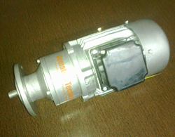 Brush Gear Motor